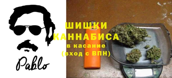 гидра Алексин