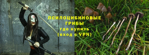 мяу мяу мука Алзамай