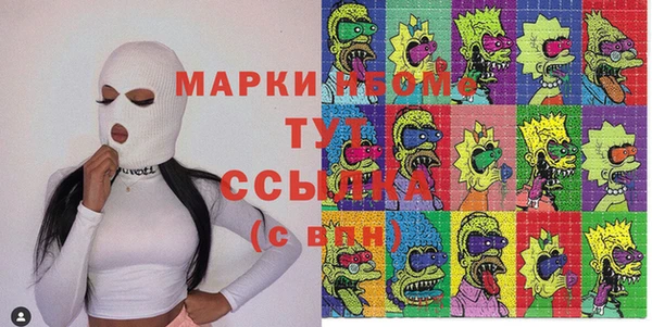 бошки Няндома
