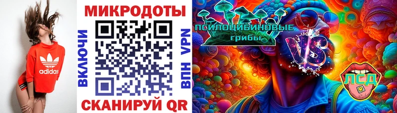 Псилоцибиновые грибы GOLDEN TEACHER  Шатура 